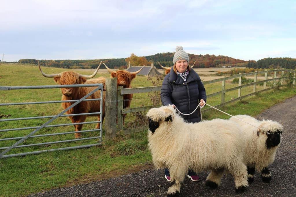 Glampods Glamping Pod - Meet Highland Cows And Sheep Elgin别墅 外观 照片