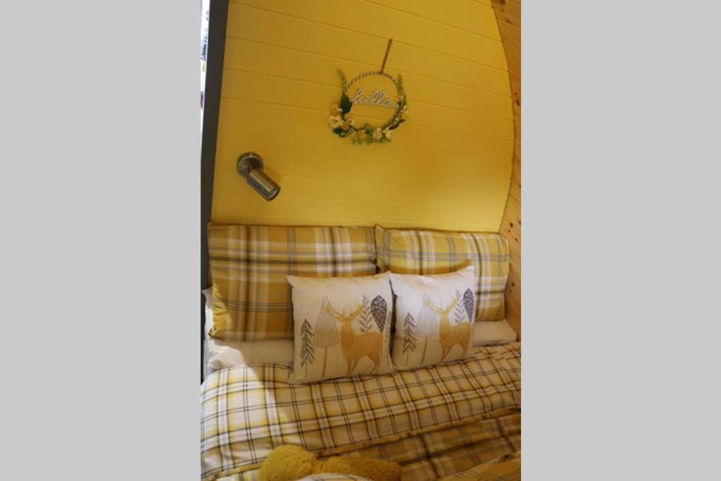 Glampods Glamping Pod - Meet Highland Cows And Sheep Elgin别墅 外观 照片