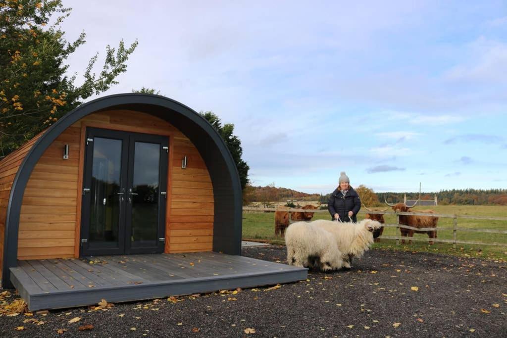 Glampods Glamping Pod - Meet Highland Cows And Sheep Elgin别墅 外观 照片