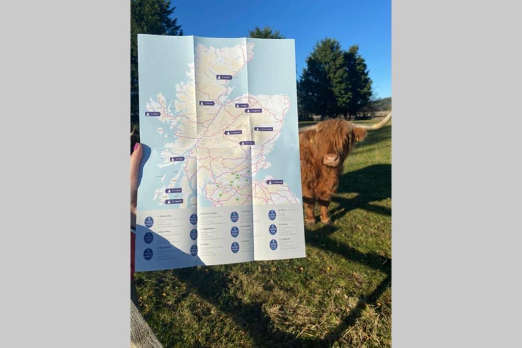 Glampods Glamping Pod - Meet Highland Cows And Sheep Elgin别墅 外观 照片
