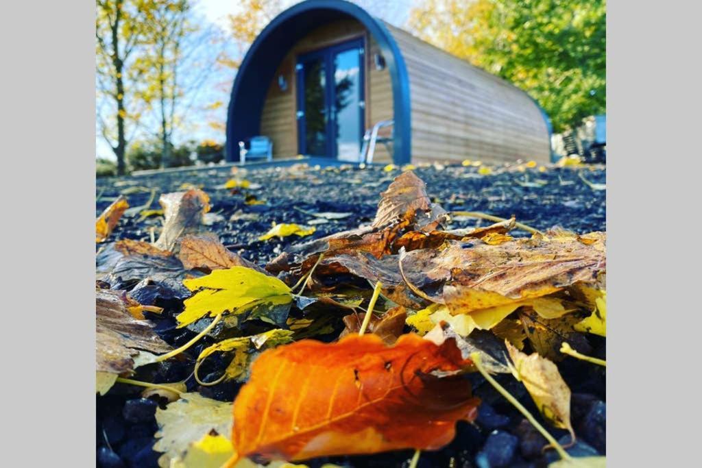 Glampods Glamping Pod - Meet Highland Cows And Sheep Elgin别墅 外观 照片